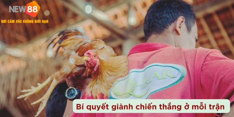bí quyết giành chiến thắng ở mỗi trận