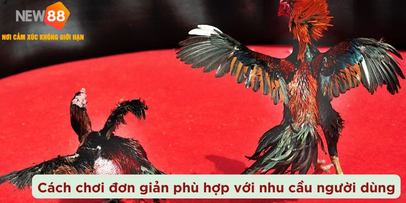 cách chơi đơn giản phù hợp với nhu cầu người dùng