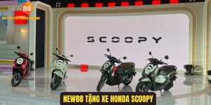 NEW88 Tặng Xe Honda Scoopy - Sức Hấp Dẫn Không Thể Chối Từ