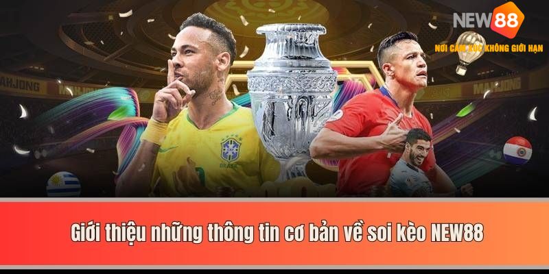 Giới thiệu những thông tin cơ bản về soi kèo NEW88