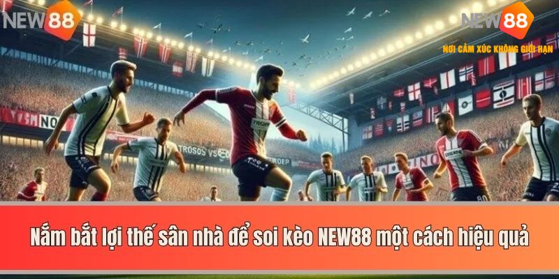 Nắm bắt lợi thế sân nhà để soi kèo NEW88 một cách hiệu quả