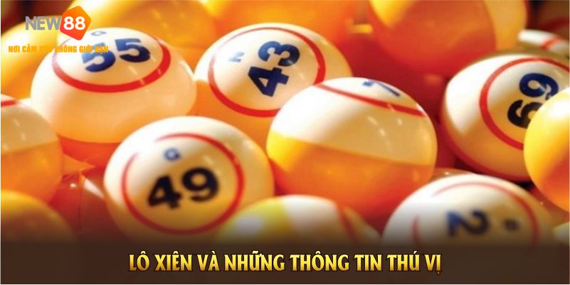 Những thông tin thú vị về Lô xiên bạn nên biết